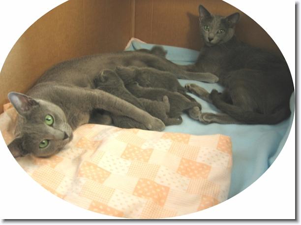 You have reached the last slide